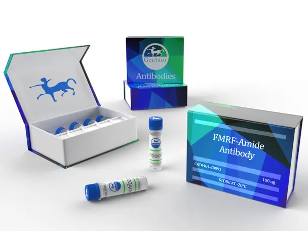 Angiotensin 1/2 (1-8) amide - 5mg