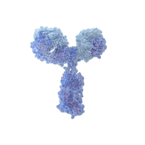 APOA1 (Human) Matched Antibody Pair