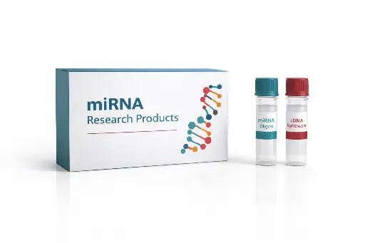 [PO-0133] miRNA oligo mix-PCR miR-372